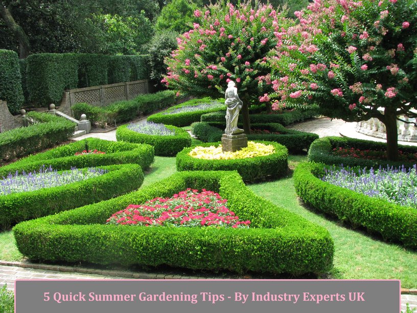 elizabethan_gardens_-_gardening_tips
