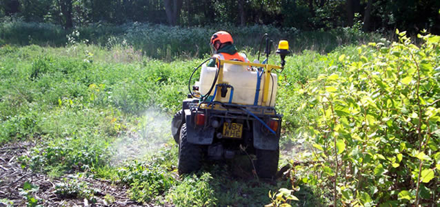 Commercial Weed Control